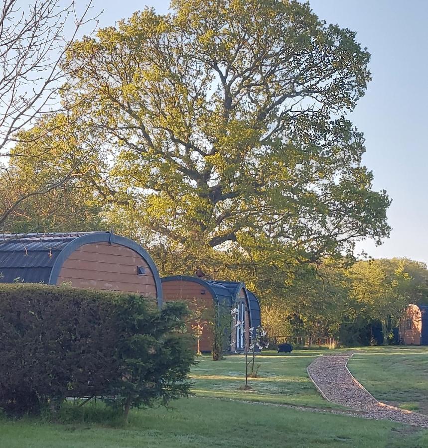 Oak Lodge Pods Лоустофт Экстерьер фото